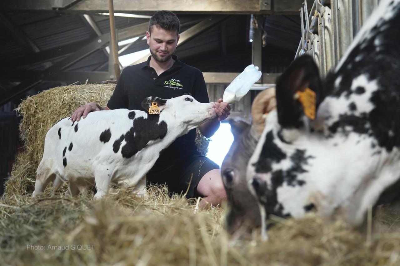 Ferme St Martin Panzió Manhay Kültér fotó