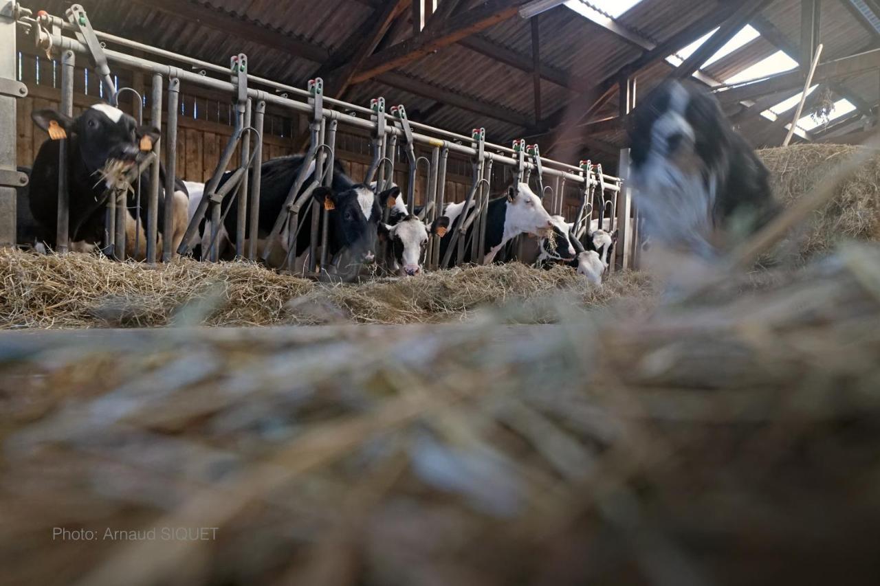 Ferme St Martin Panzió Manhay Kültér fotó